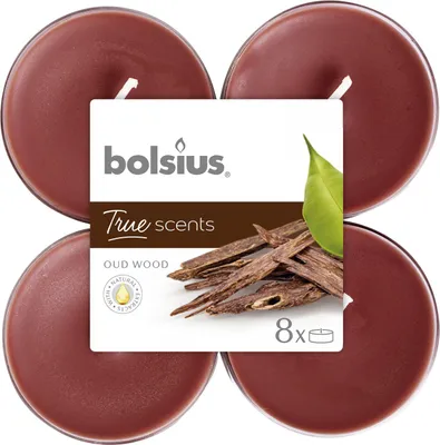 Produktbild von Bolsius Duftteelichter Maxi Oud Wood, Höhe 1,17 cm, Ø 4,5 cm, 6er Pack