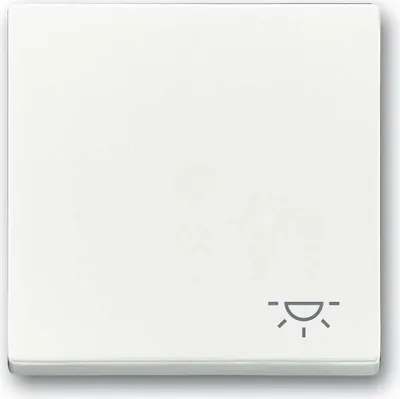 Immagine prodotto di Busch-Jaeger Bilanciere con impronta 2520 LI-84 2CKA001751A3189