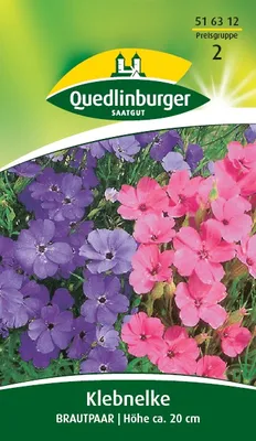 Produktbild von Klebnelke, Brautpaar