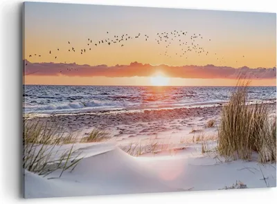 Produktbild von Bild auf Leinwand - Leinwandbild - Einteilig - Sonne Strand Vögel - 120x80cm - Wand Bild - Wanddeko - Wandbilder - Leinwanddruck - Bilder - Wanddekoration - Leinwand bilder - Wandbild - AA120x80-4727