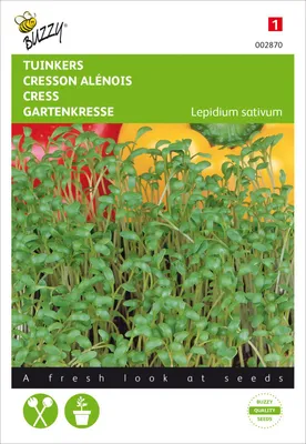 Produktbild von Gartenkresse Einfach | Kressesamen von Buzzy Seeds