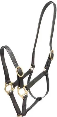 Produktbild von Zilco 19mm PN Halfter Cob Schwarz