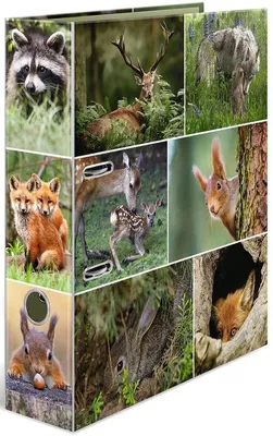 Produktbild von Motivordner A4 Animals Waldtiere Packung mit 10 Stück