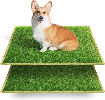 Produktbild von Famanu Hundetoilette für Hunde - Kunstgras, 63 x 51 x 7 cm, 2 Stück
