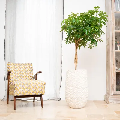 Produktbild von Provencelia Keramik Pflanzkübel Paris Weiß, Ø39 x H63 cm, handgefertigt, glasiert, Outdoor, Terrasse