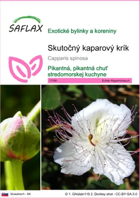 Produktbild von SAFLAX - Skutočný kaparový krík - Capparis spinosa - 25 Semená