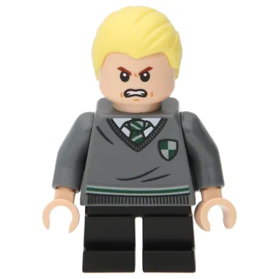 Immagine prodotto di LEGO Harry Potter: Draco Malfoy