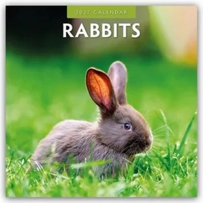Produktbild von Rabbits - Hasen - Kaninchen 2027 - 16-Monatskalender