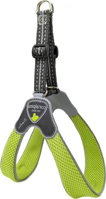 Produktbild von Grünes, atmungsaktives Halsband für kleine Hunde, Größe 6