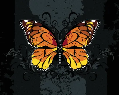 Produktbild von Zuty - Malen nach Zahlen - ORANGEFARBENER SCHMETTERLING AUF SCHWARZEM HINTERGRUND, 40x50 cm, ohne Keilrahmen