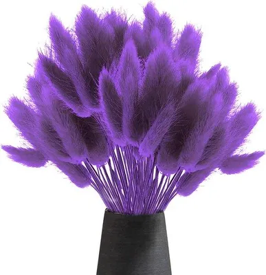 Produktbild von Famanu Trockenblumen Pampasgras 60 Stück - Natürliches Pampasgras