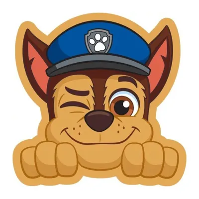 Immagine prodotto di Cuscino Carbotex Hug 40x40 Forma Psi Patrol Chase PAW201061 C24