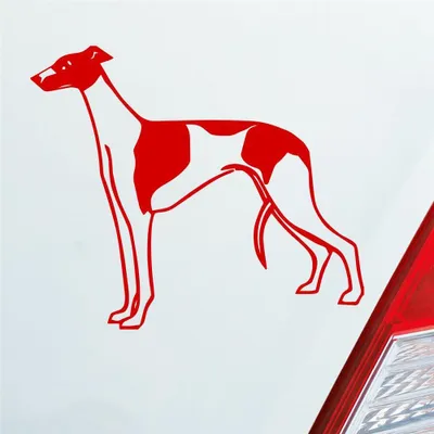 Produktbild von Auto Aufkleber Windhund Hund Dog Animal Tier 12x10 cm Rot Sticker Heckscheibenaufkleber