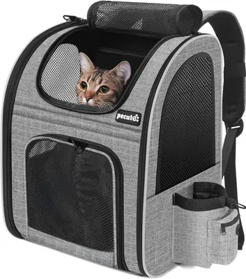 Produktbild von Pecute Hunderucksack und Katzenrucksack Atmungsaktiv bis 6kg - Grau
