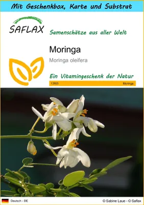 Produktbild von SAFLAX - Geschenk Set - Moringa - 10 Samen - Mit Geschenk- / Versandbox, Versandaufkleber, Geschenkkarte und Anzuchtsubstrat - Moringa oleifera