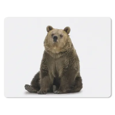 Produktbild von MuchoWow® Mauspad Mousepad Bär - Tiere - Weiß - Jungen - Mädchen - Kind 40x30 cm - Mousepads - Maus Mat - Pad - Mausunterlage - Anti Rutsch