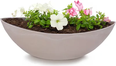 Produktbild von Große Pflanzschale oval 39 cm für draussen Dekoschale sand beige