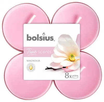 Produktbild von Bolsius Duftteelichter Maxi Magnolie, Höhe 1,17 cm, Ø 4,5 cm, 6er Pack