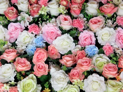 Produktbild von Sanders & Sanders Fototapete Rosen Rosa, Grün und Weiß 375 x 270 cm