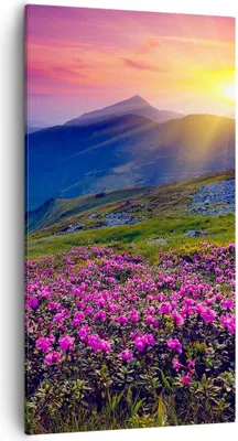 Produktbild von Bild auf Leinwand - Leinwandbild - Wiese Berge Landschaft - 55x100cm - Wand Bild - Wanddeko - Leinwanddruck - Bilder - Kunstdruck - Wanddekoration - Leinwand bilder - Wandkunst - PA55x100-2676