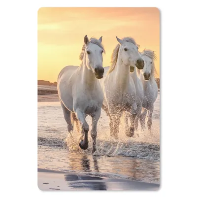Produktbild von MuchoWow® Mauspad Mousepad Pferde - Sonne - Meer - Strand - Tiere 18x27 cm - Mousepads - Maus Mat - Pad - Mausunterlage