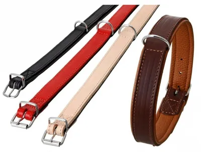 Produktbild von Karlie Rondo Halsband unterlegt - Rot - 18mm/42cm