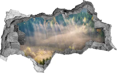 Produktbild von Selbstklebender Loch-3D-Aufkleber 95x73 cm Nebel im Wald