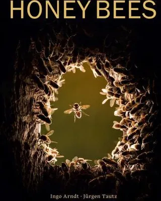 Obrázek produktu pro Honey Bees