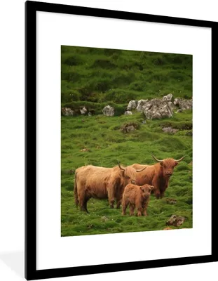 Produktbild von MuchoWow® MuchoWow® Gerahmtes Poster Schottische Hochlandrind-Familie 60x80 cm - Poster mit zchwarzem Bilderrahmen - Wohnzimmer - Dekorationen - Prämie
