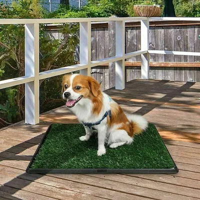 Obrázek produktu pro Psi Toaleta na trávníku Toaleta pro psy Toaleta pro psy Toaleta pro psy Omyvatelná toaleta pro štěňata Toaleta pro štěňata s travnatou podložkou 51x63cm Podložka, polštář a matrace pro psy na spaní