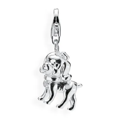 Zdjęcie produktu dla HB117 Charms dla psa HB117 Heartbreaker