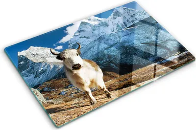 Immagine prodotto di Copertura per piano cottura – Copertura per piano cottura a induzione – Piano di vetro protettivo – 80x52 cm – Piani di vetro protettivi per fornelli – Vetro temperato – Jak Hory