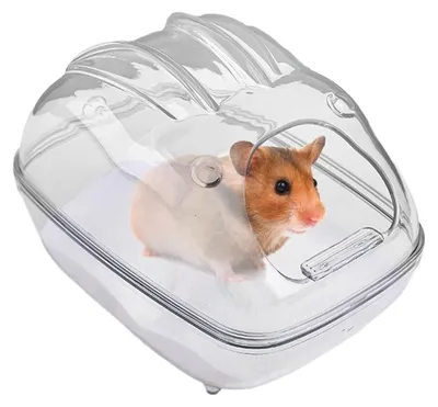 Immagine prodotto di Vaschetta trasparente per bagni per criceti e piccoli animali