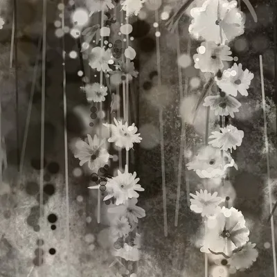 Produktbild von Fototapete 2515N-11 Digitaldruck Blumen Floral 2.5 x 2.7 m Erismann Zooom Grau