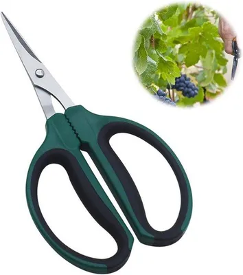 Productafbeelding van Famanu plantenschaar en kruidenschaar - roestvrij staal, groen