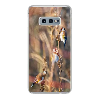 Produktbild von MuchoWow® Handyhülle Schutzhülle Hülle für Samsung Galaxy S10e Vögel - Äste - Wald Silikon Softcase Handy Hülle - Handy