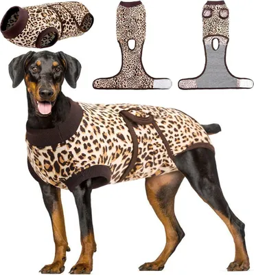 Image de Kuoser Body chien Body chat post-opératoire Castration mâle Chienne Marron