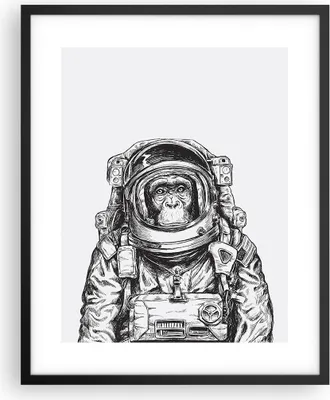 Produktbild von Gerahmtes Poster - Schwarzer Rahmen - Schimpanse Astronaut Zeichnung - 40x50 cm - Wand Bild - Wanddeko - Wandbilder - Wandposter - Bilderrahmen - Bilder - Kunstdruck - Wandbild - P2BPA40x50-4312