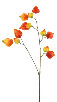 Obrázek produktu pro Countryfield umělá květina physalis dekorace oranžová 95cm umělá větev