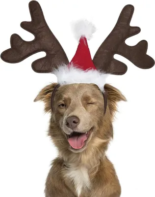 Produktbild von Hund Elch Rentiergeweih Stirnband mit Weihnachtsmütze Haustier Haustier Weihnachtskostüm Hund Katze Kopfbedeckung Zubehör a