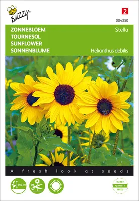 Produktbild von Kleinblümige Sonnenblume Stella Gelb | Sonnenblumensamen von Buzzy Seeds