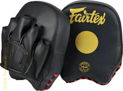 Image de Crampons Fairtex Short Focus Mitts (FMV14), couleur noir/or
