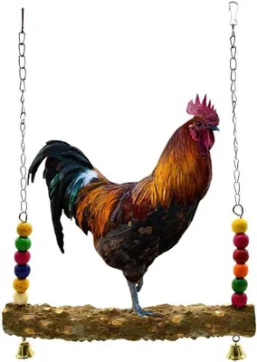 Produktbild von Tier Holzschaukel, Hühnerständer Spielzeug, Schaukel Hühnerspielzeug Hühnerstall Zubehör Sittichschaukel Barsch Vogelspielzeug Großer Papagei Ara Hennen