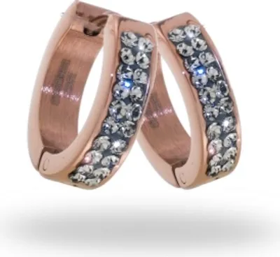 Produktbild von CEM Ohrschmuck ST6-178