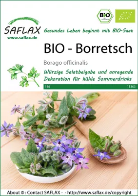 Productafbeelding van SAFLAX - - Borretsch - 40 zaden - Borago officinalis
