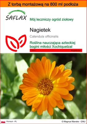 Zdjęcie produktu dla SAFLAX - Garden in the bag - Nagietek - 50 Nasiona - Z podłożem uprawowym w praktycznej, samorozkładającej się torbie - Calendula officinalis