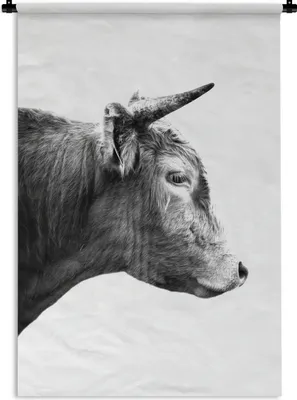 Produktbild von MuchoWow® Wandteppich Wandbehang Seitenansicht eines schottischen Hochlandrinds - schwarz und weiß 120x180 cm Tapisserie Dekoration Wandtuch - Schlafzimmer - Dekorationen für das Haus