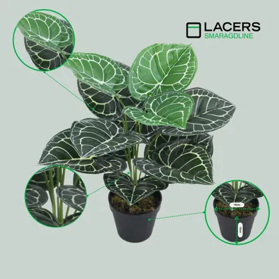 Produktbild von Lacers SMARAGDLINE Künstliche Taro im Topf 2er Set - 45cm Kunstpflanze - Dekoration wie echt wirkende Blätter - Kunstblume für Ihr Zuhause & Büro