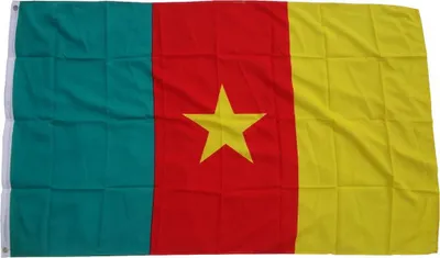 Obrázok produktu pre Vlajka Vlajka Kamerun 90 x 150 cm vlajka s 2 očkami 100g/m² hmotnosť tkaniny zdvihnúť vlajku