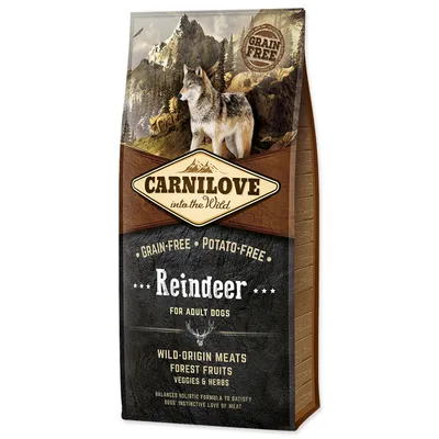 DOG'S LOVE Trockenfutter Adult – Lachs & Forelle 2 Kg, Getreidefrei, Mit Omega-3, Für Hunde